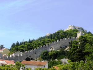 Fortica Fortress