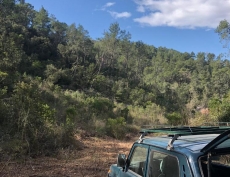 Img-20251126-wa0012 Img-20251126-wa0012