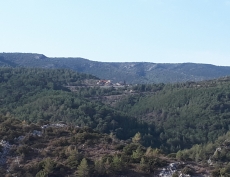 Img-20251126-wa0014 Img-20251126-wa0014